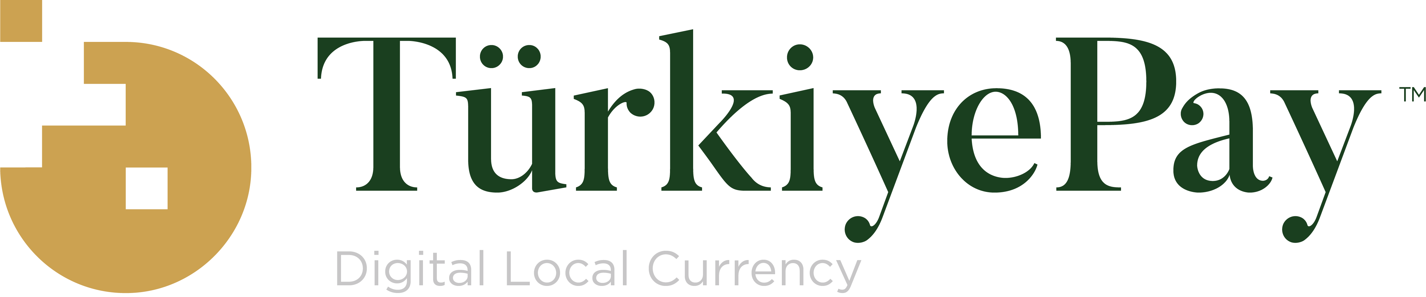 TurkiyePay Limited